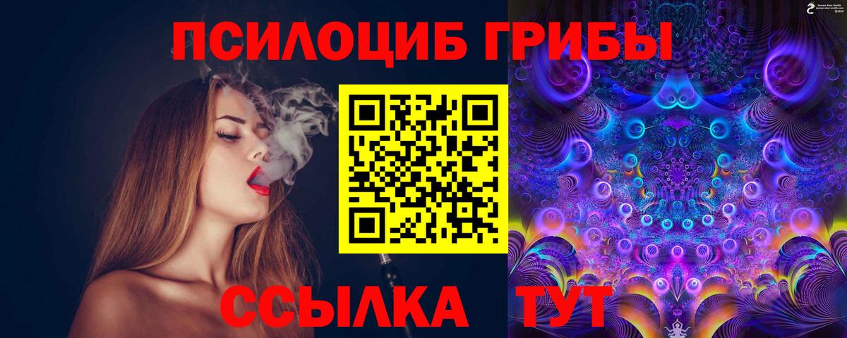 купить закладку  Галлюциногенные грибы мицелий  Вход с VPN  Сальск  Псилоцибиновые грибы Psilocybine cubensis 