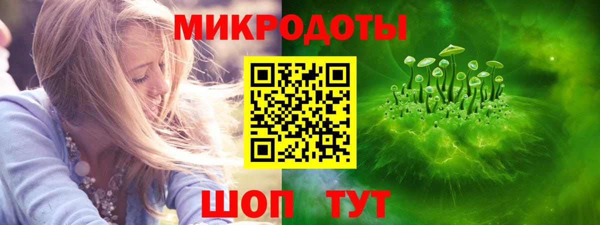 Галлюциногенные грибы Magic Shrooms Сальск