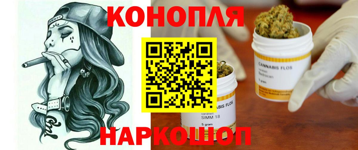 Бошки Шишки сатива Сальск